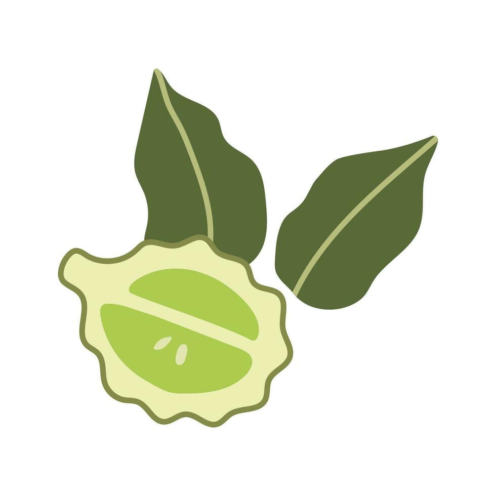 Bergamot orange fruit, cartoon style. Trendy modern vector illustration isolated on white background