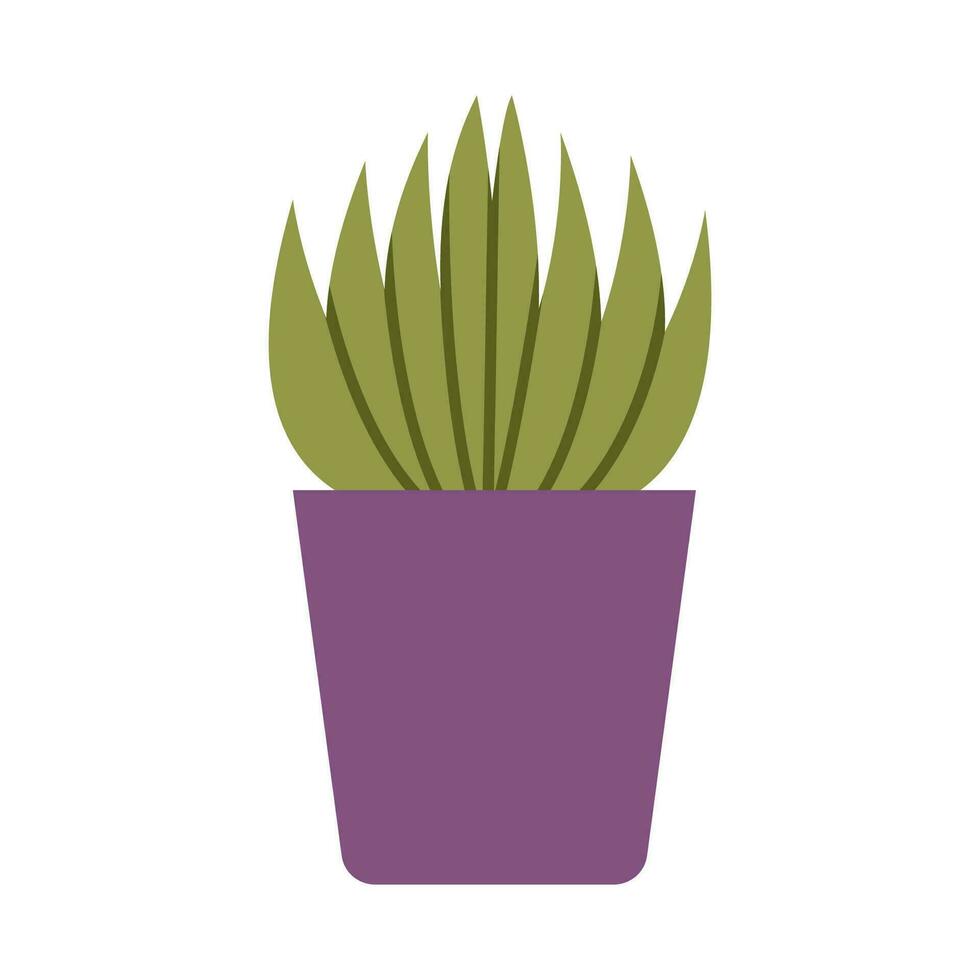 haworthia, pequeño suculento, dibujos animados estilo. casa plantas para hogar interior, urbano selva. de moda moderno vector ilustración aislado en blanco, mano dibujado, plano