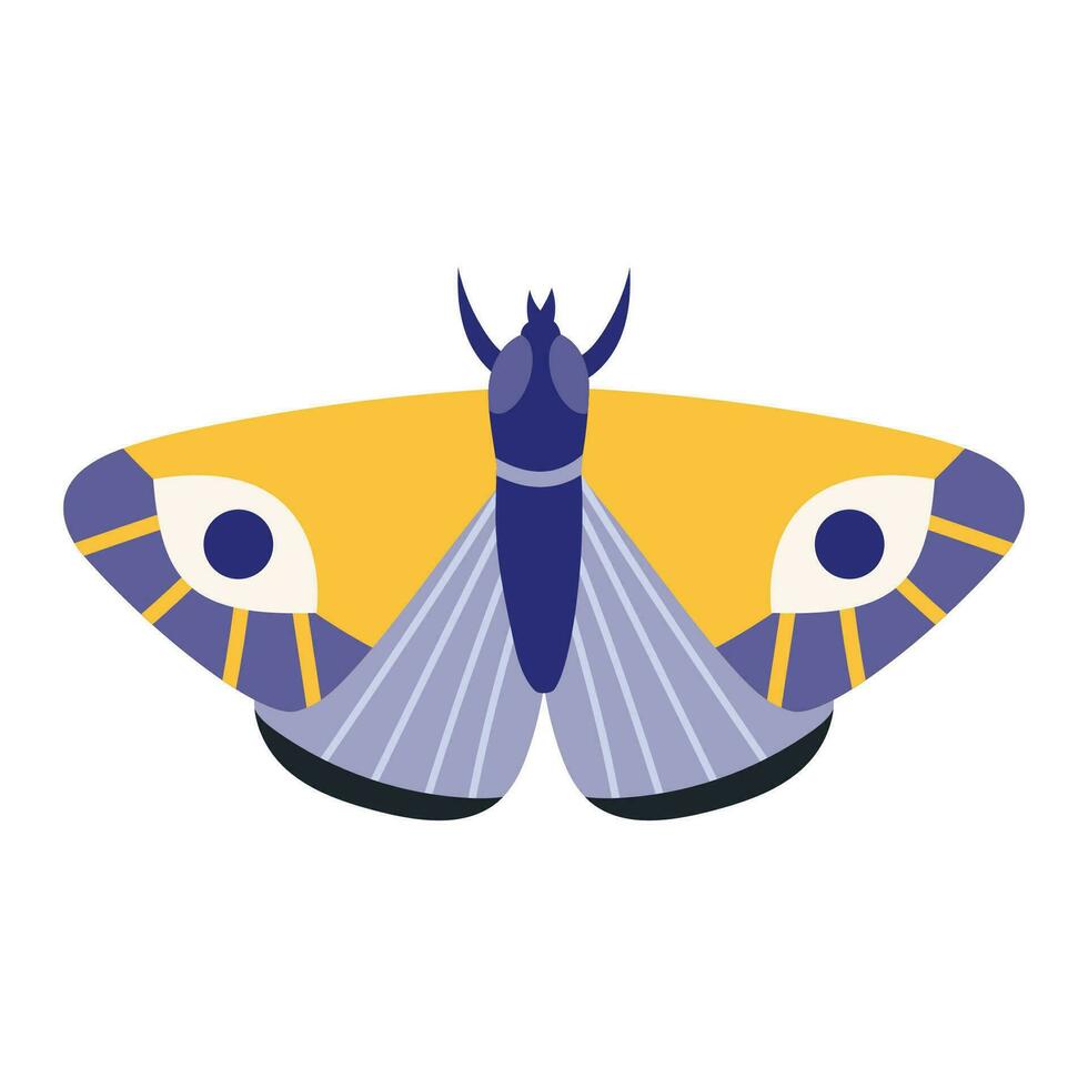 Butterfly, moth, insect with wings, cartoon style. Trendy modern vector illustration isolated on white background, hand drawn