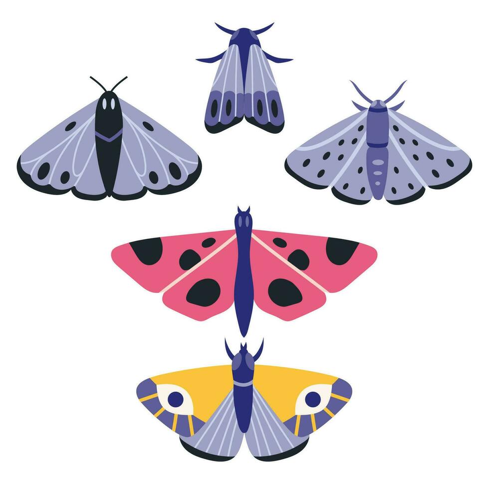 Collection of exotic butterflies and moths, cartoon style. Set flying insects with wings. Trendy modern vector illustration isolated on white background, hand drawn