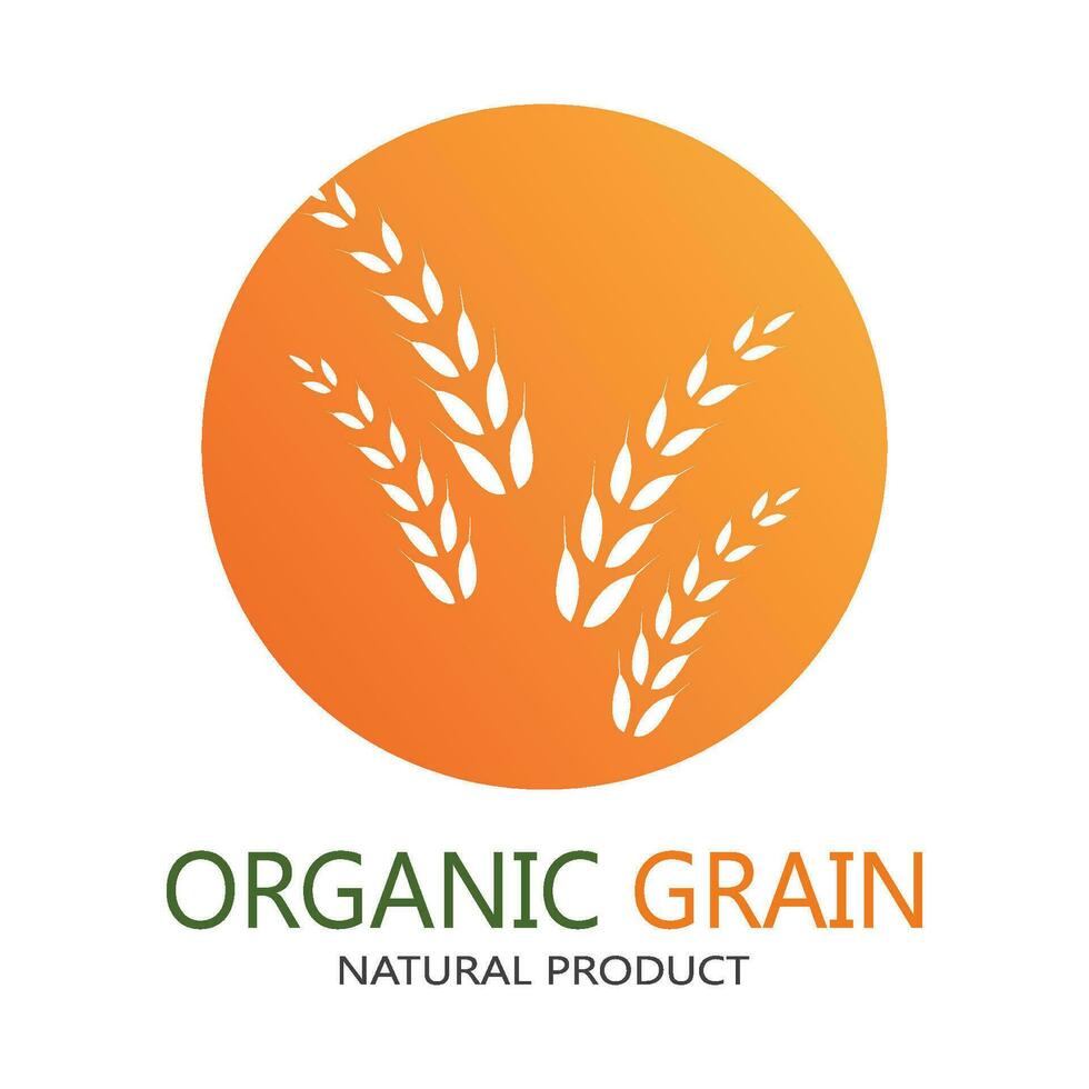 wheat Logo Template vector icon design