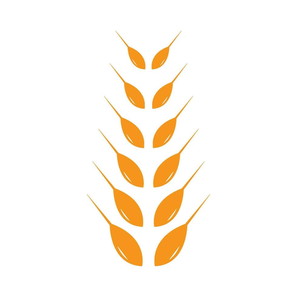wheat Logo Template vector icon design