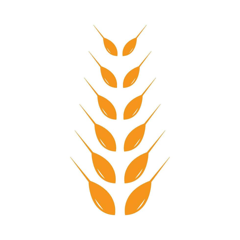 wheat Logo Template vector icon design