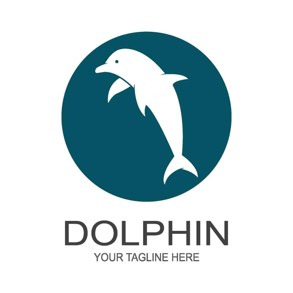 Dolphin logo icon vector