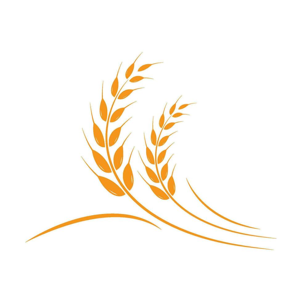 wheat Logo Template vector icon design