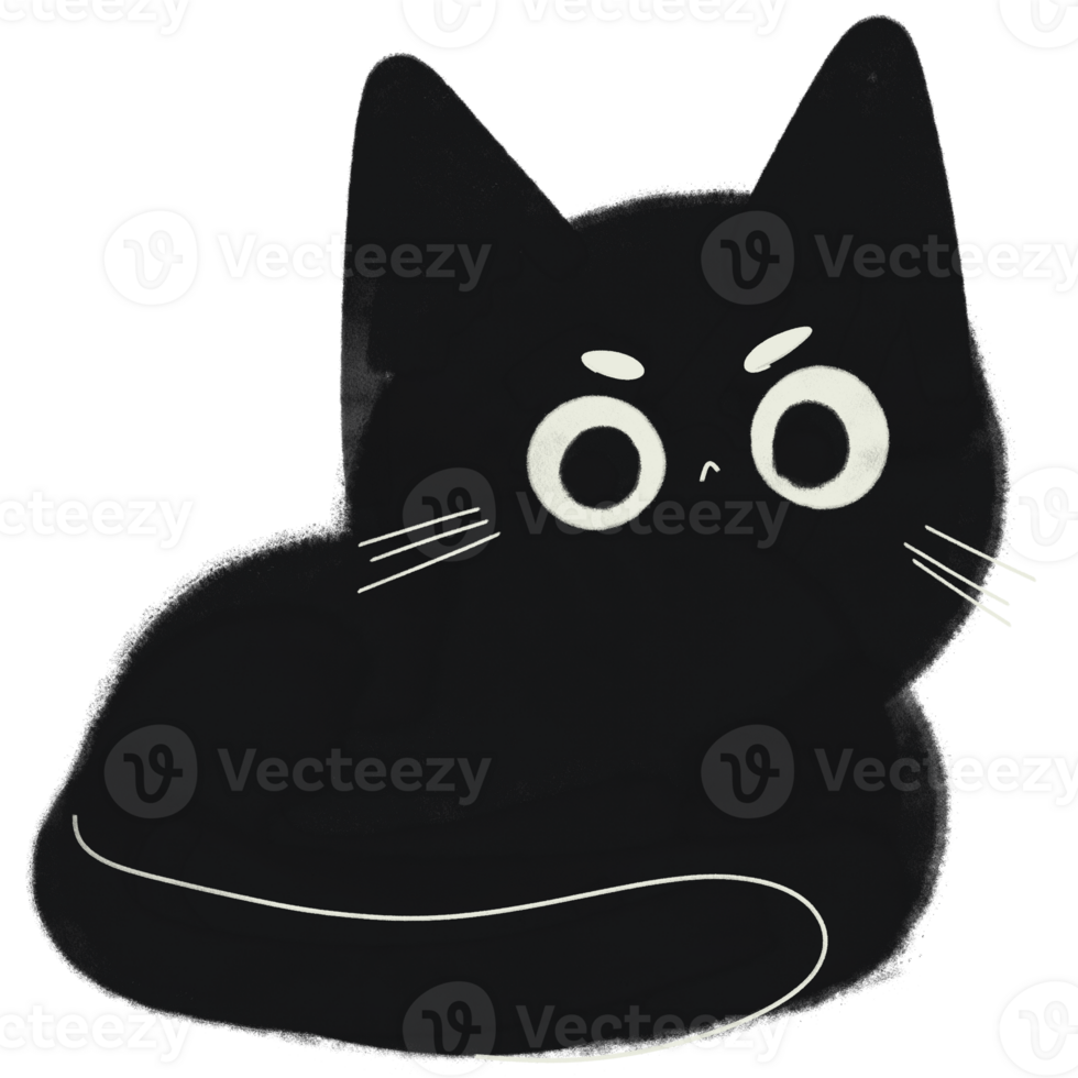 Illustration of cute chubby cat png