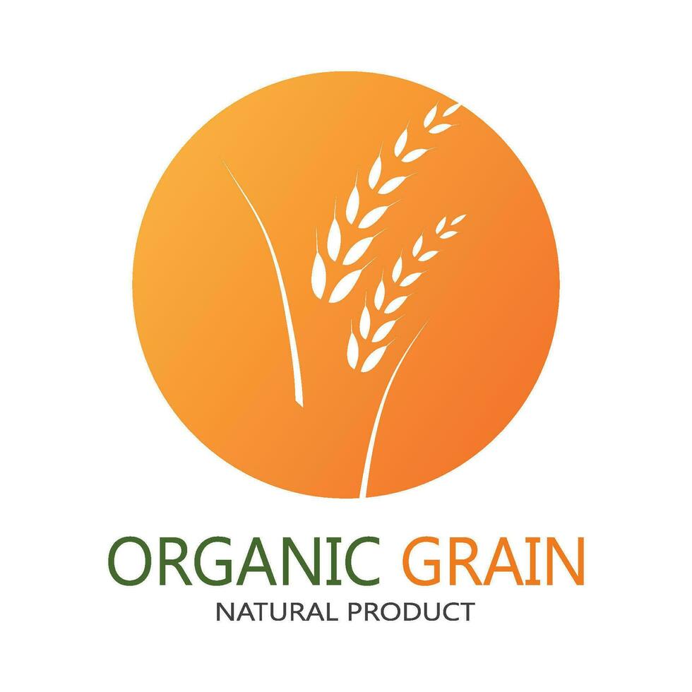 wheat Logo Template vector icon design