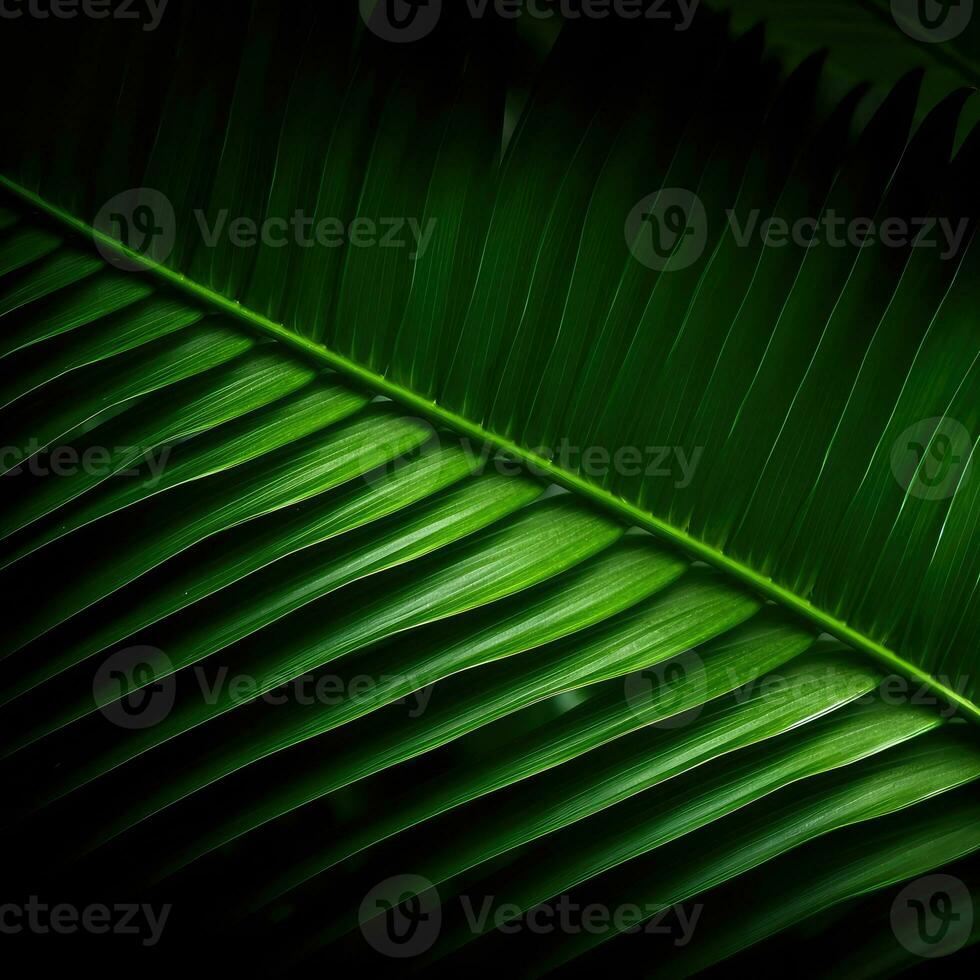 Palm leaf wallpaper. Tropical leaves background. For banner, postcard, book illustration. Created with generative AI tools photo