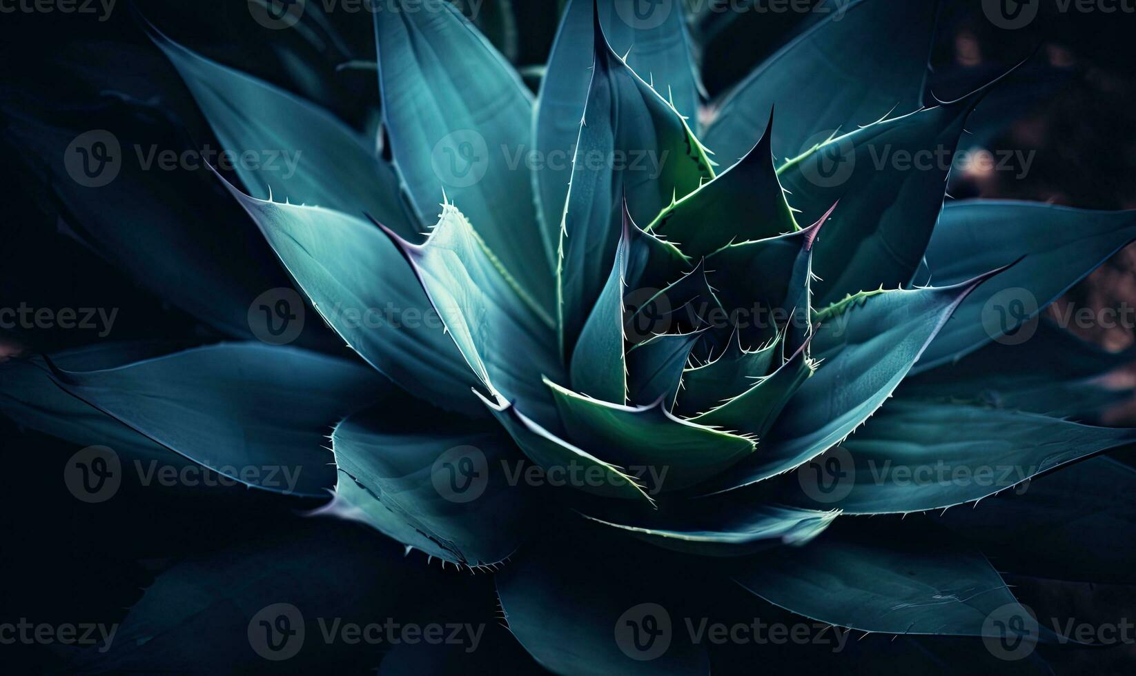 Tropical succulents wallpaper. Textured blue agave banner. For postcard, book illustration. Created with generative AI tools photo