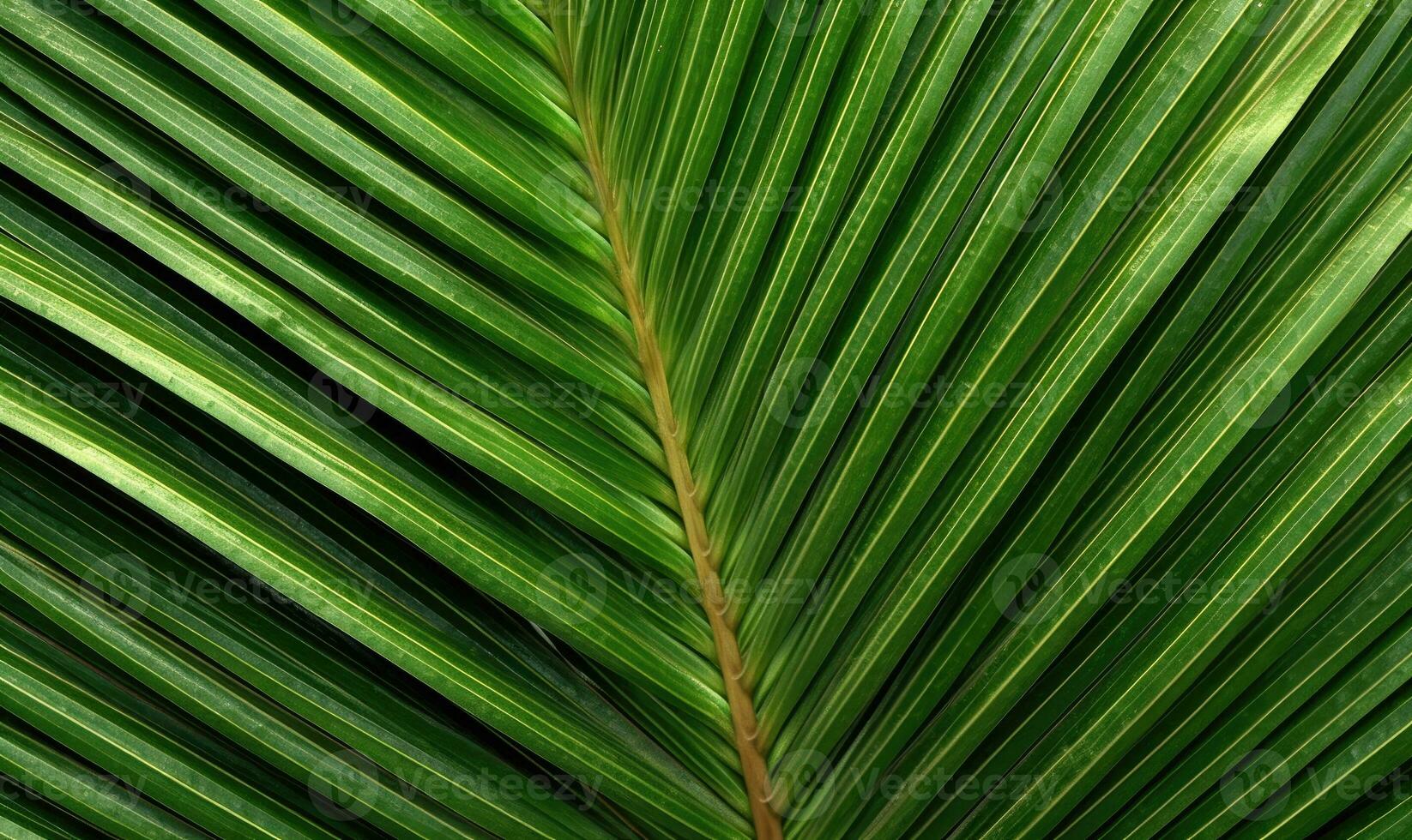 Palm leaf wallpaper. Tropical leaves background. For banner, postcard, book illustration. Created with generative AI tools photo