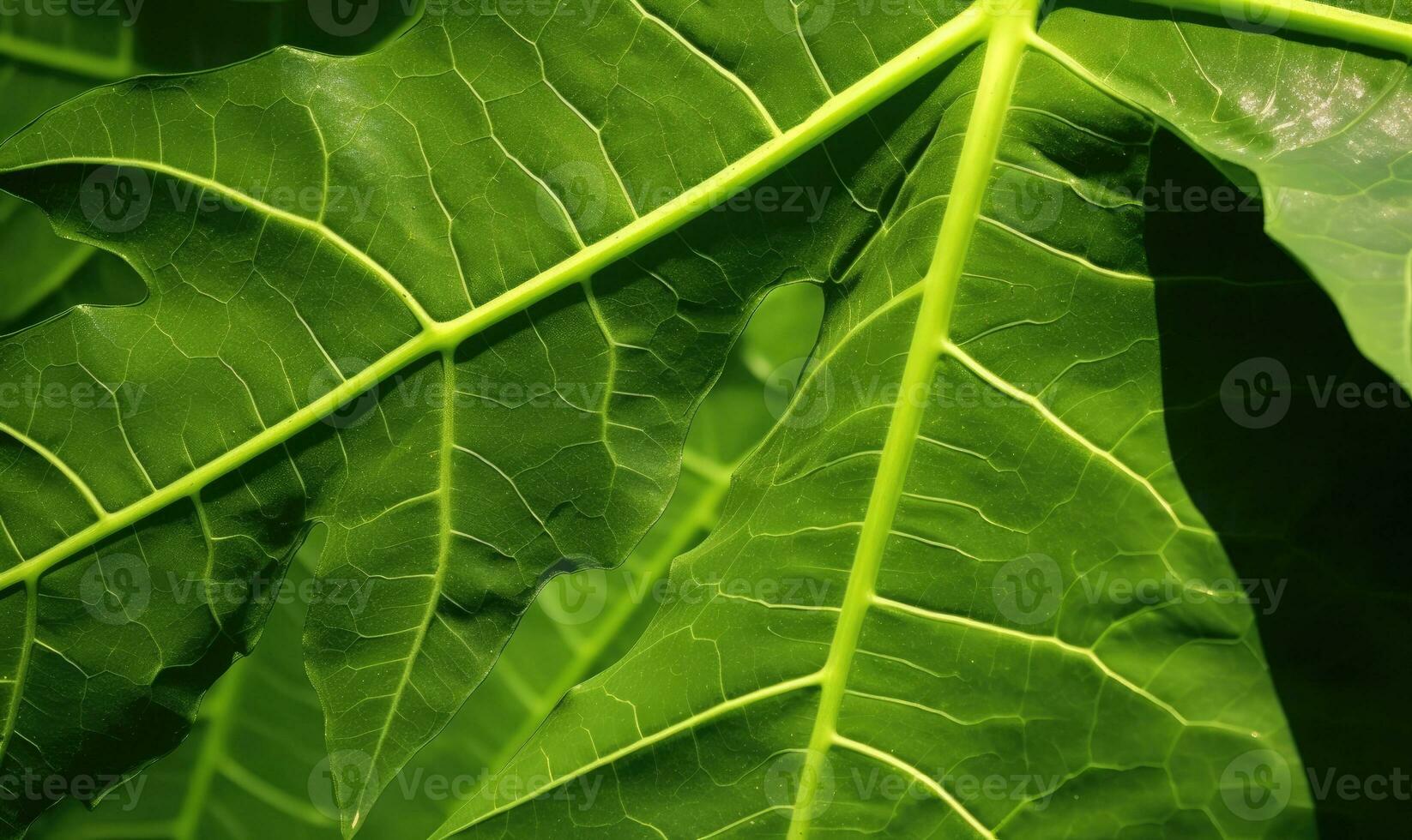 Leave wallpaper. Green forest leaf banner. For postcard, book illustration. Created with generative AI tools photo