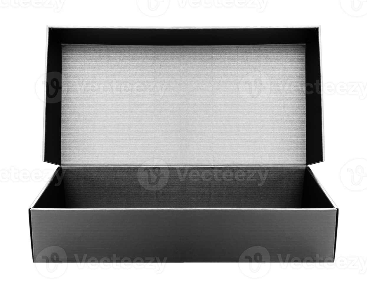 Open view black box png