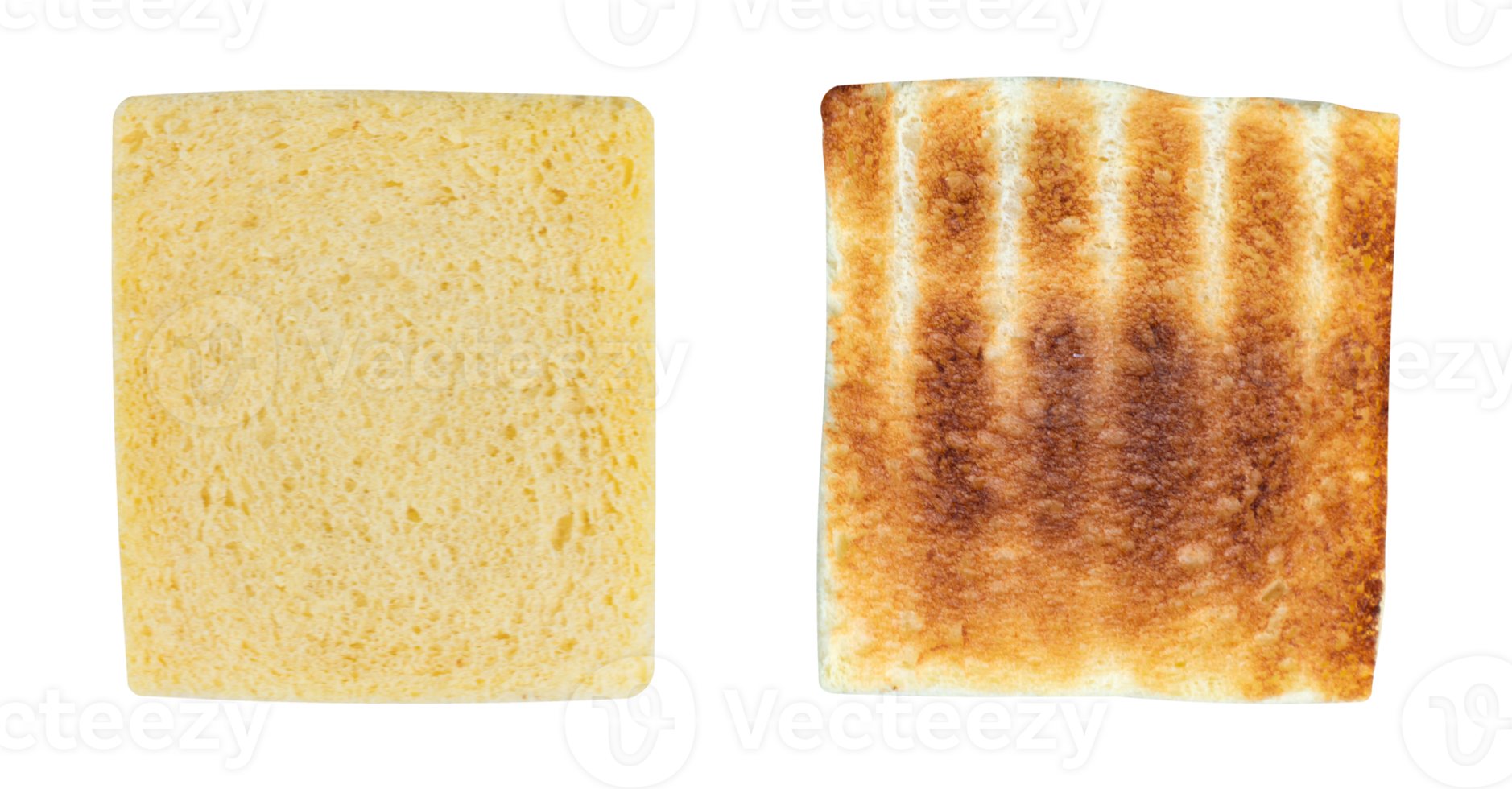 Brustless toasted bread png