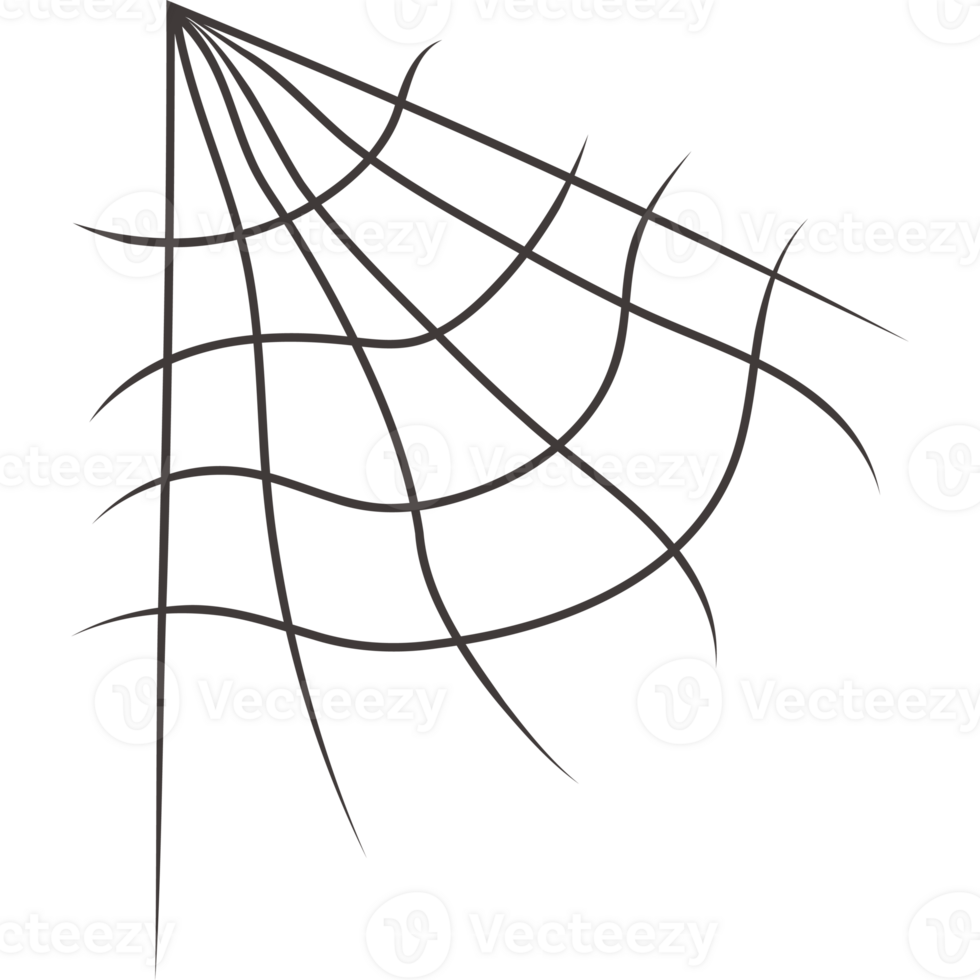 Cobweb hand drawn png