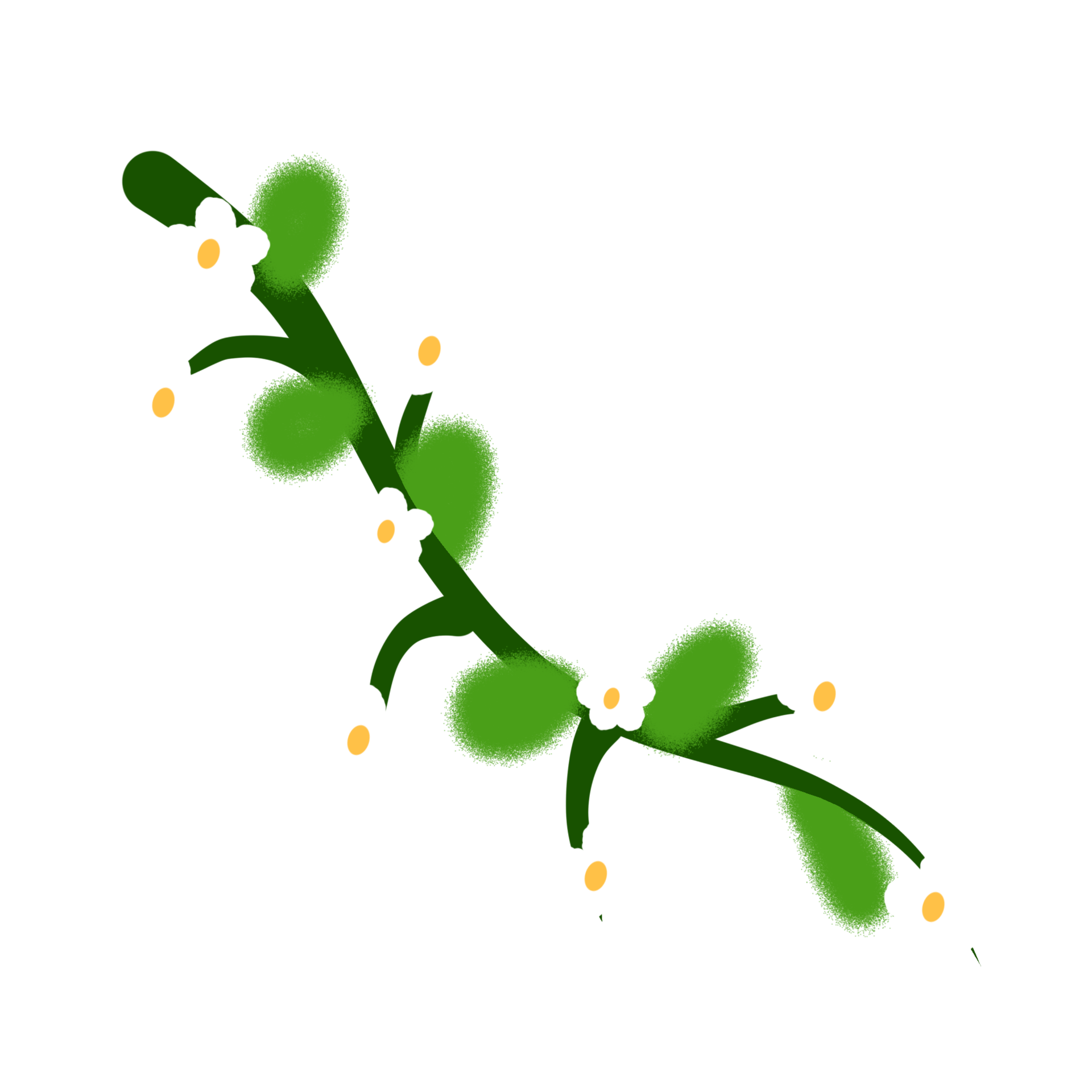 white-flower-plant-26960267-png