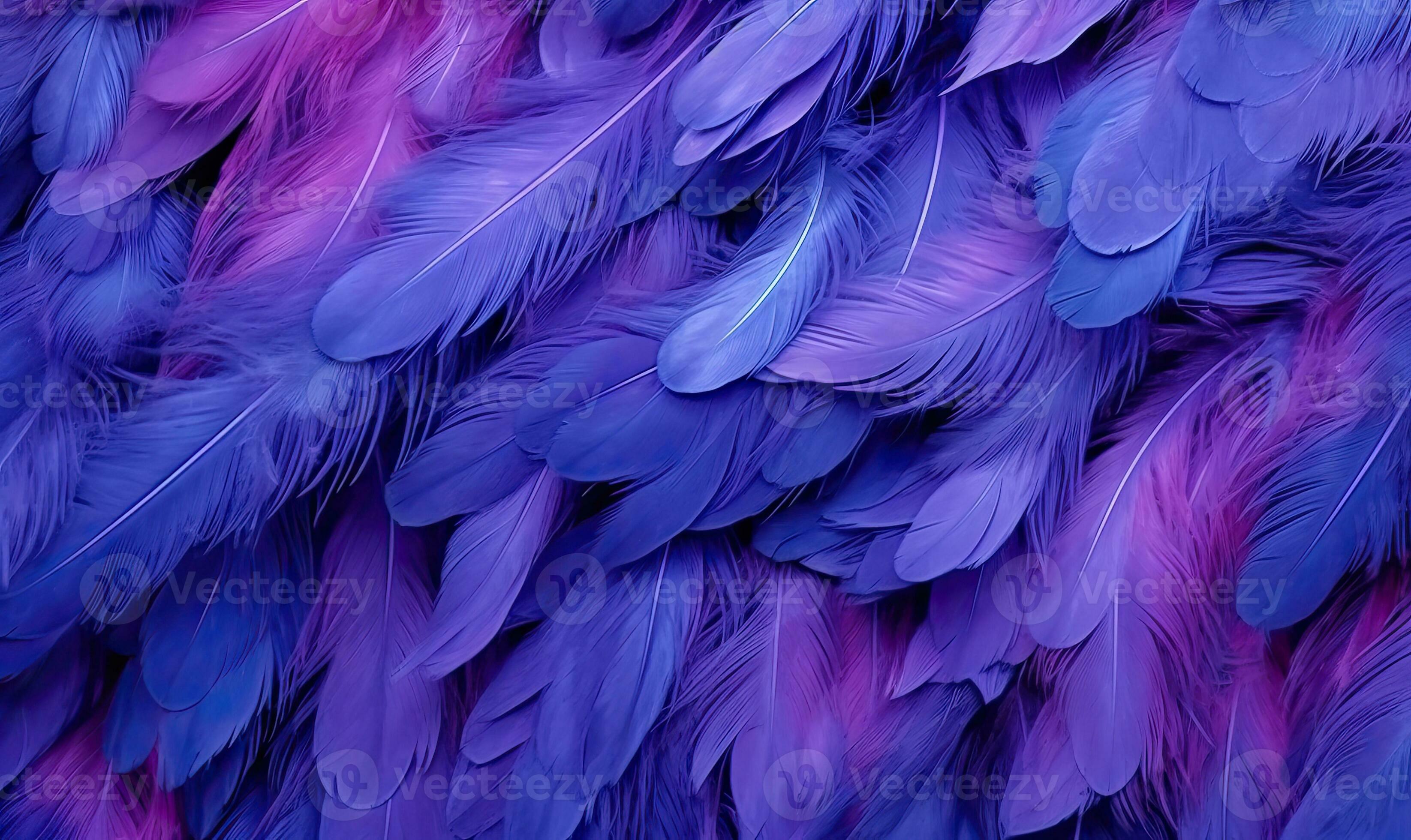 Feathers Stock Photo - Download Image Now - Feather, Purple, Craft - iStock