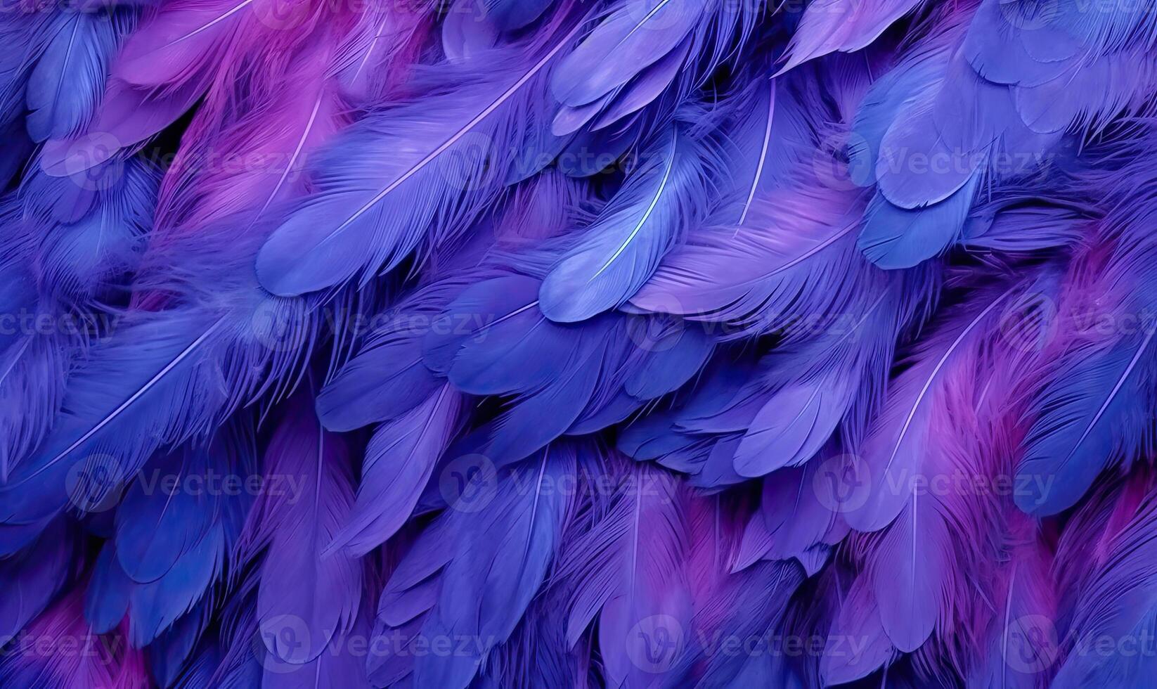 Feathers soft background. Purple bird feathers. Created with tools photo