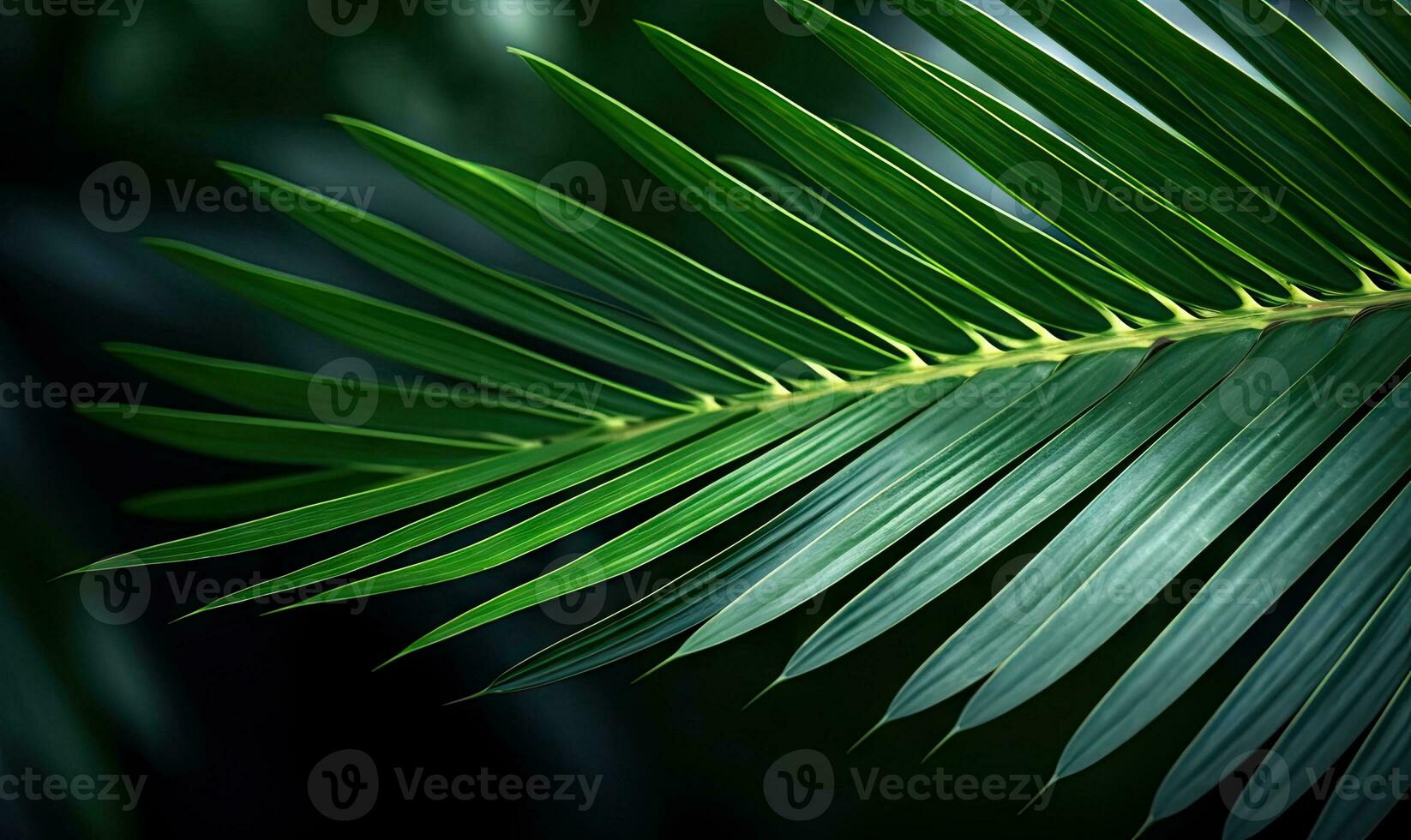 Palm leaf wallpaper. Tropical leaves background. For banner, postcard, book illustration. Created with generative AI tools photo