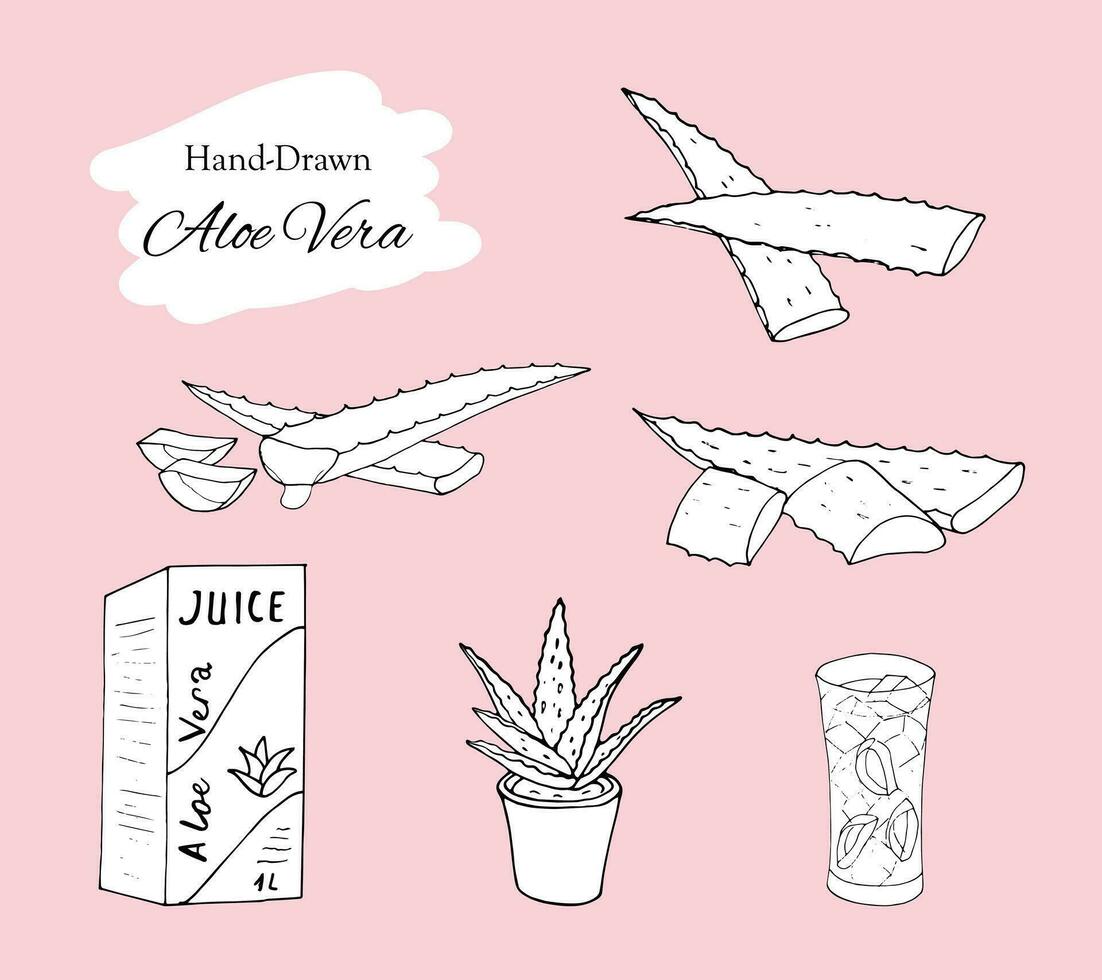 conjunto de áloe vera planta, hojas y cortar piezas con jugo gotas, áloe vera planta en un maceta, jugo en un vaso y en un paquete aislado vector ilustración