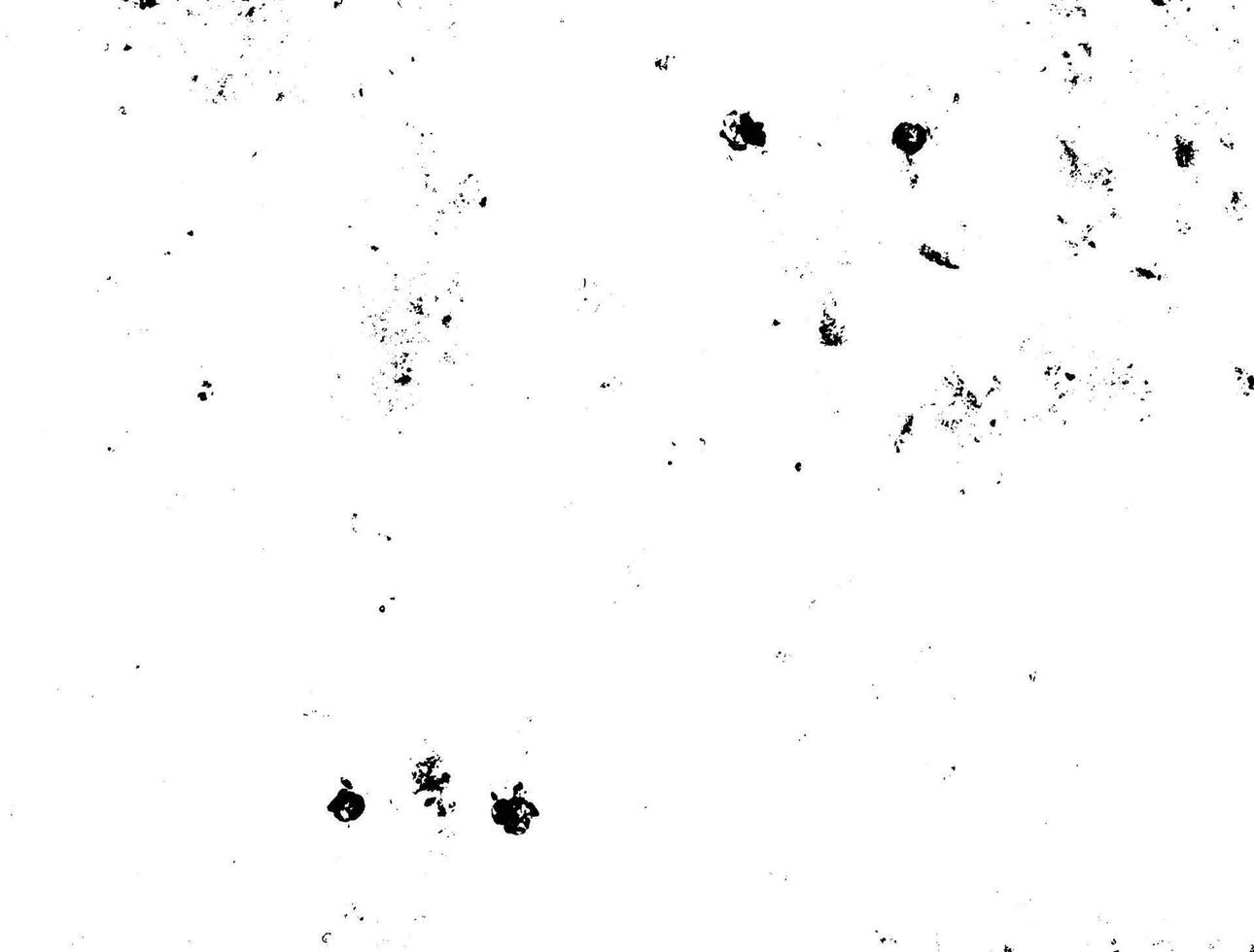 Black and white grunge urban texture vector with copy space. Abstract illustration surface dust and rough dirty wall background with empty template. Distress or dirt and grunge effect concept - vector