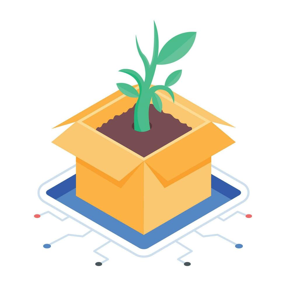 An isometric icon of plant growing vector