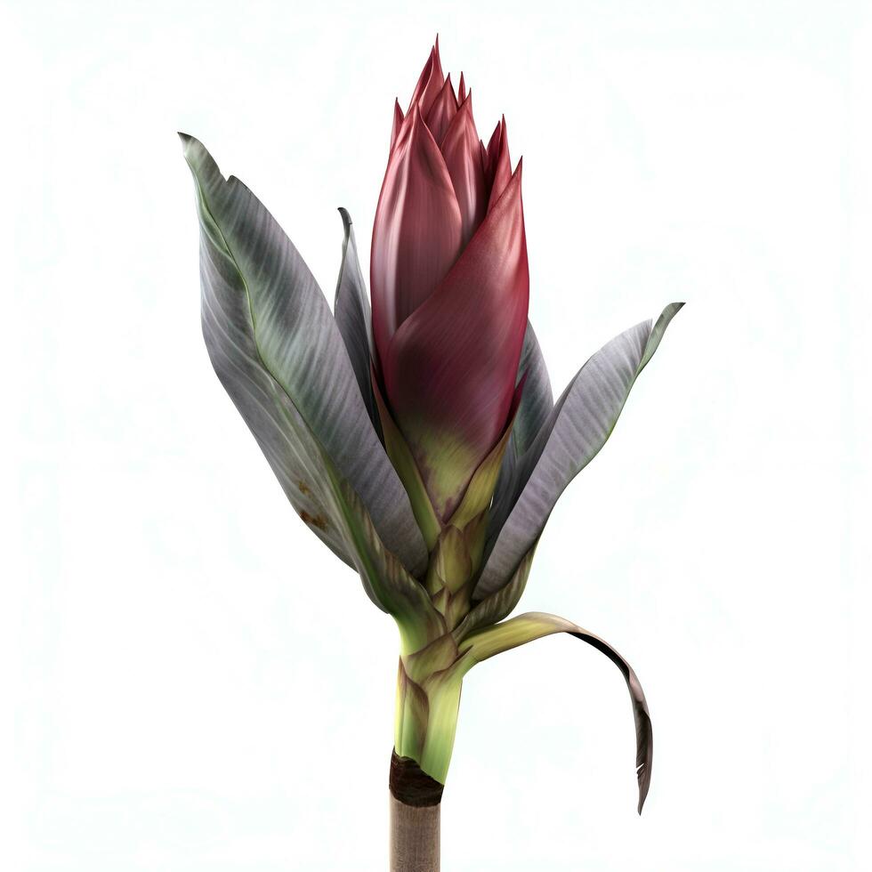 Flower isolated on white background 3D illustration  clipping path included photo