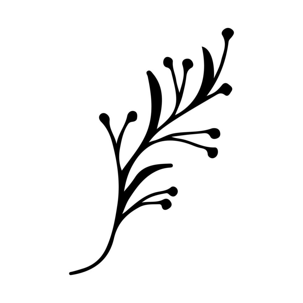 Doodle single twig branch with berries element. Dry twig plant, herb. Vector silhouette illustration