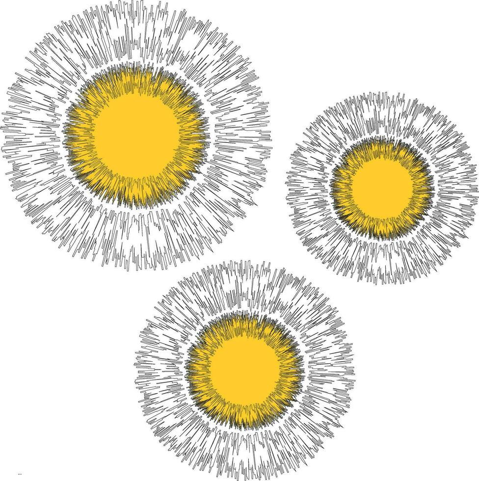 Vector drawing, dandelion on a white isolated background. Outline drawing, lines