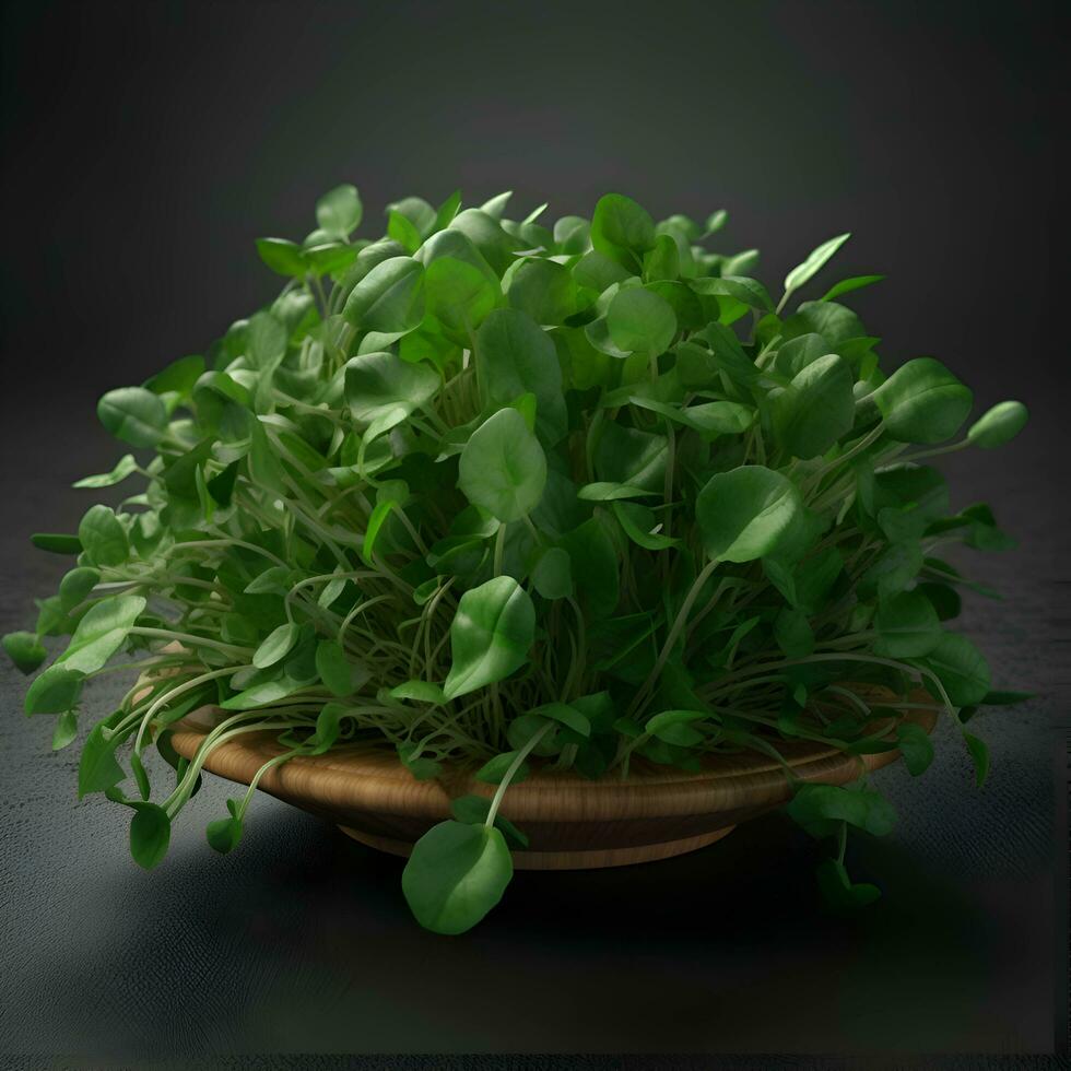 Sprouts of arugula in a wooden bowl on a black background photo