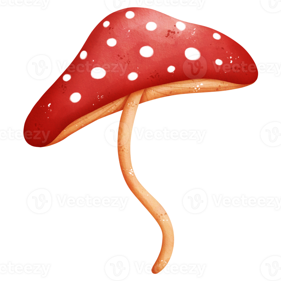 Watercolor Poisonous Mushroom 26972500 PNG watercolor-poisonous-mushroom-26972500-png