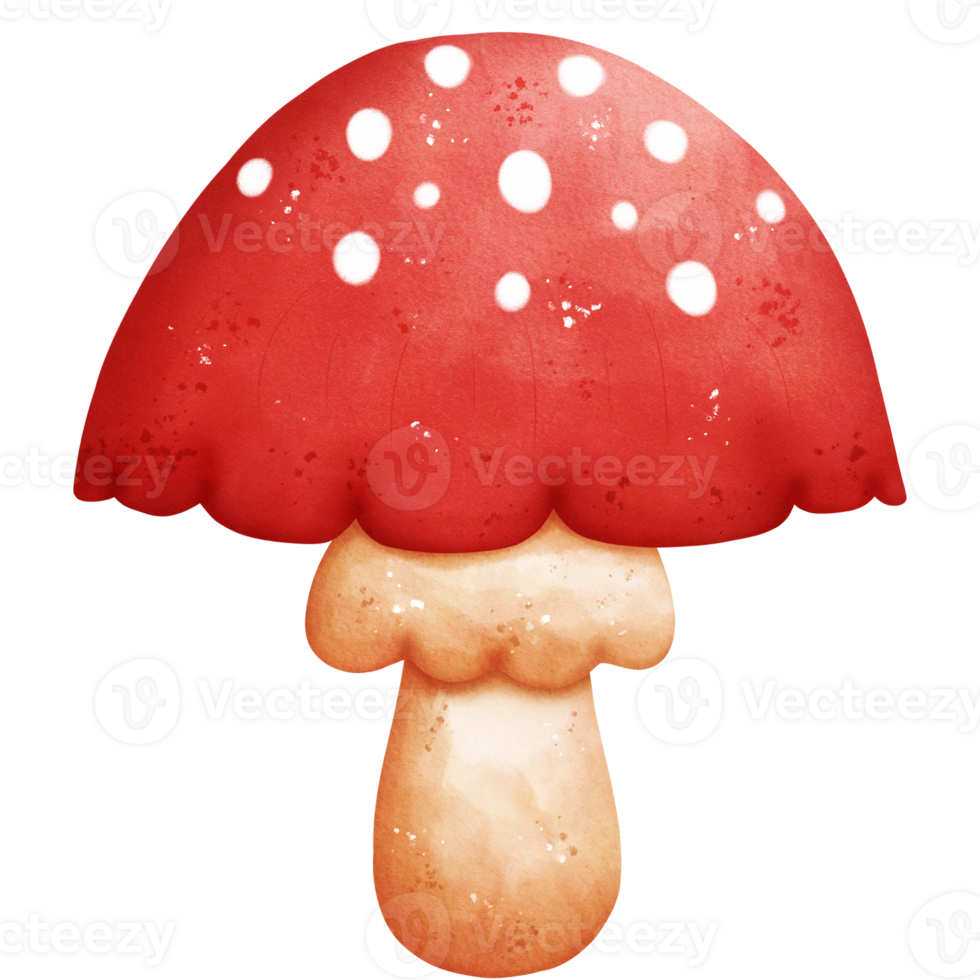 Watercolor Poisonous Mushroom 26972517 PNG watercolor-poisonous-mushroom-26972517-png