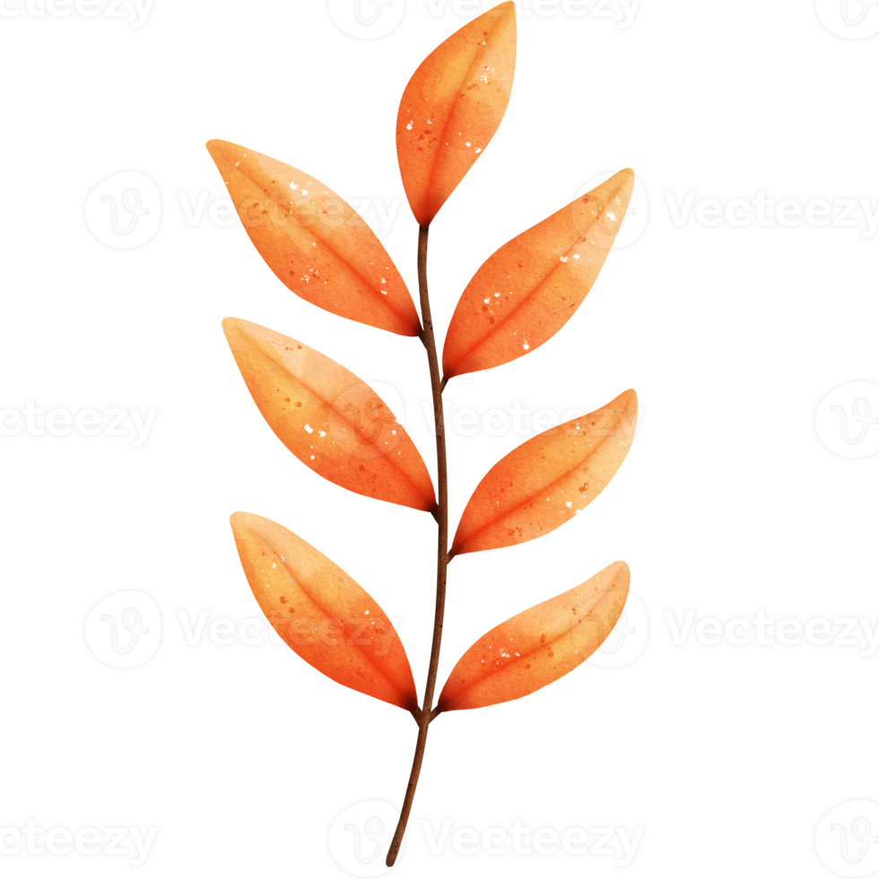 Watercolor Autumn Leaf png