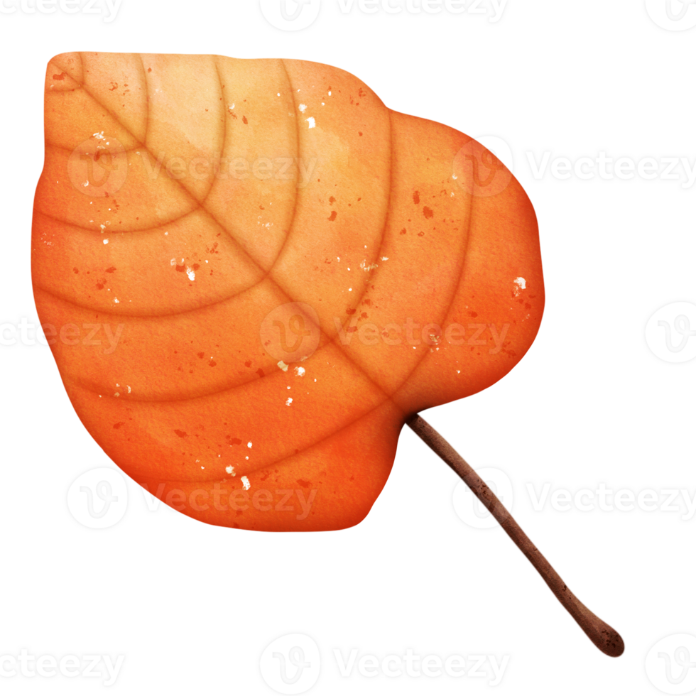 Watercolor Autumn Leaf png