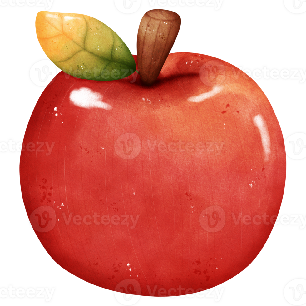 Watercolor Apple Illustration png