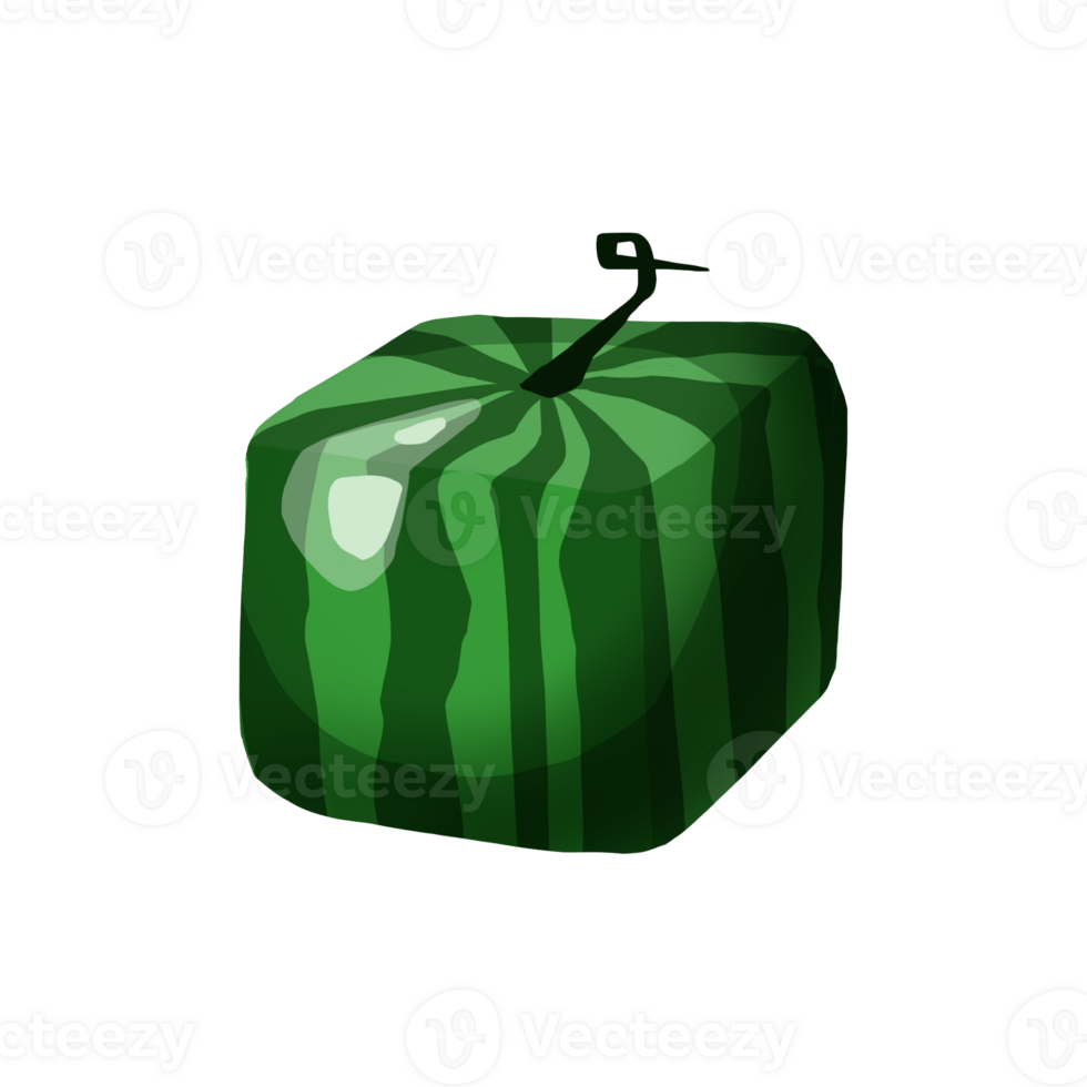 Watermelon cube, fruit of interesting shape, hand drawn, with transparent background, illustration png