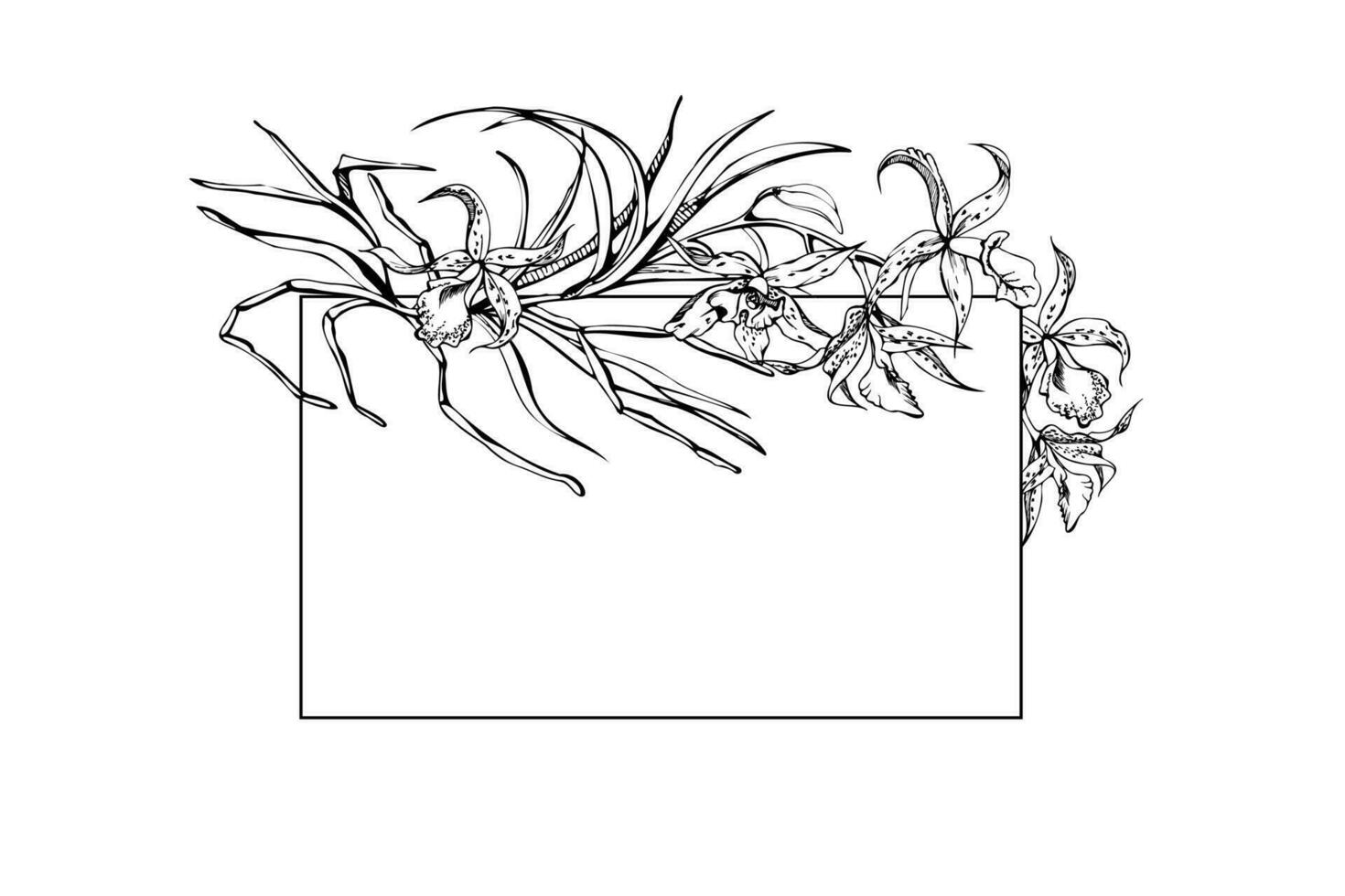 Hand drawn vector ink orchid flowers and branches, monochrome, detailed outline. Horizontal frame composition. Isolated on white background. Design for wall art, wedding, print, tattoo, cover, card.