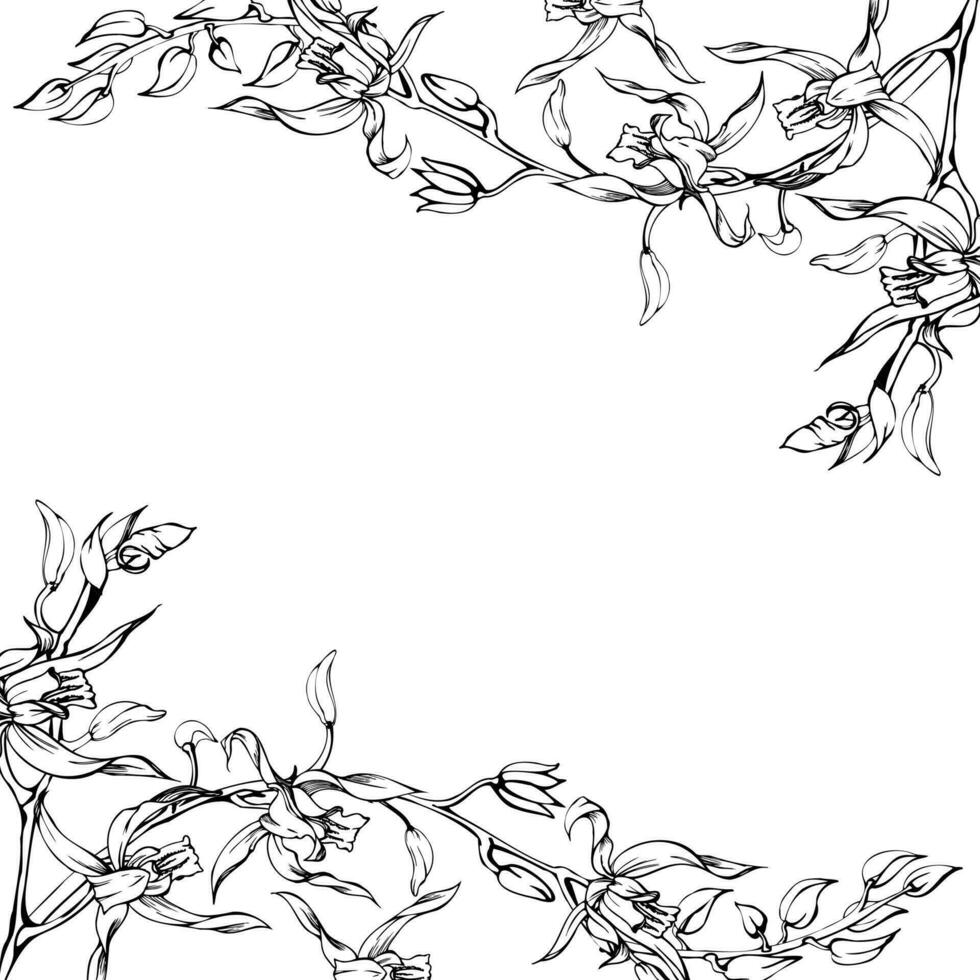 Hand drawn vector ink orchid flowers and branches, monochrome, detailed outline. Square frame composition. Isolated on white background. Design for wall art, wedding, print, tattoo, cover, card.