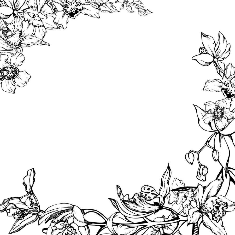 Hand drawn vector ink orchid flowers and branches, monochrome, detailed outline. Square frame composition. Isolated on white background. Design for wall art, wedding, print, tattoo, cover, card.