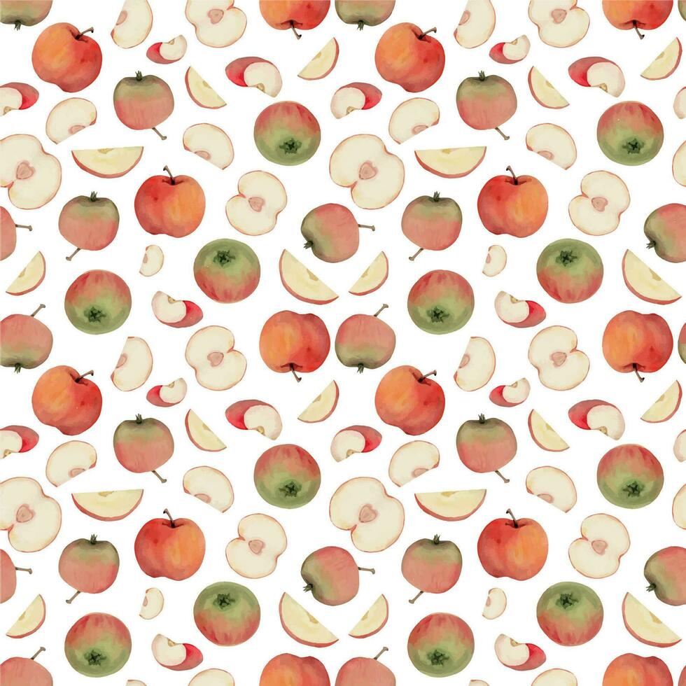 Hand drawn watercolor apple fruits, ripe, full and slices red and green with leaves. Seamless pattern. Isolated object on white background. Design for wall art, wedding, print, fabric, cover, card. vector