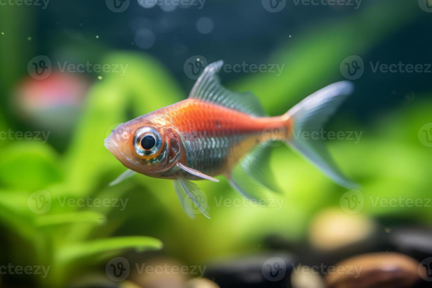 linda tetra en naturaleza, nacional geografía, amplio vida animales ai generado. foto