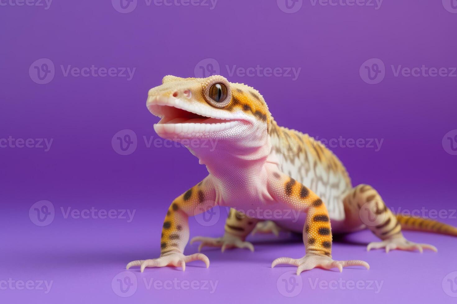 Very cute Leopard Gecko in nature, national geography, Wide life animals. . photo