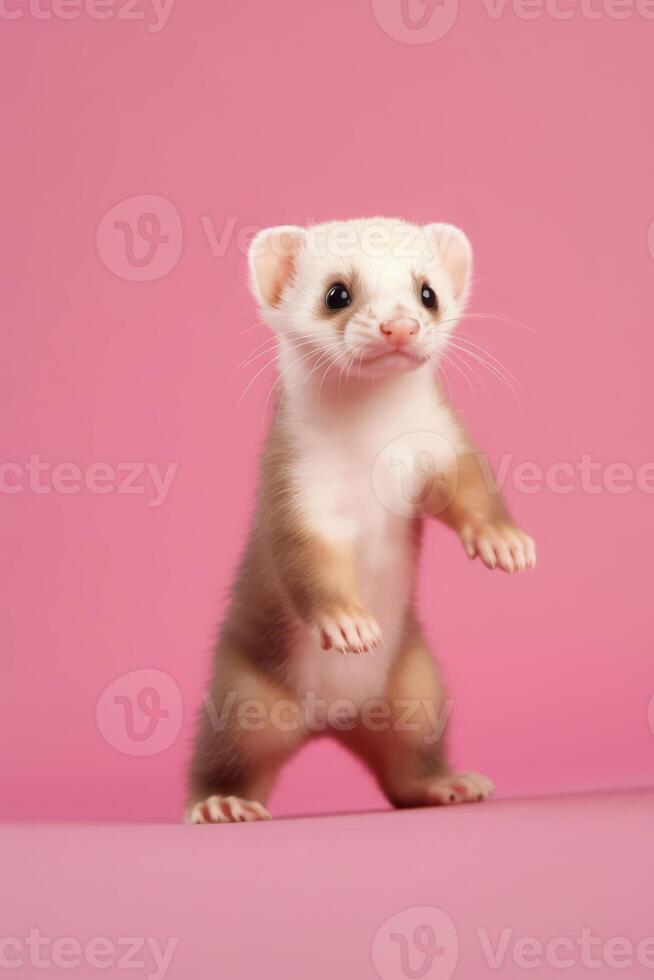 Very cute baby Ferret in nature, national geography, Wide life animals. AI Generated. photo