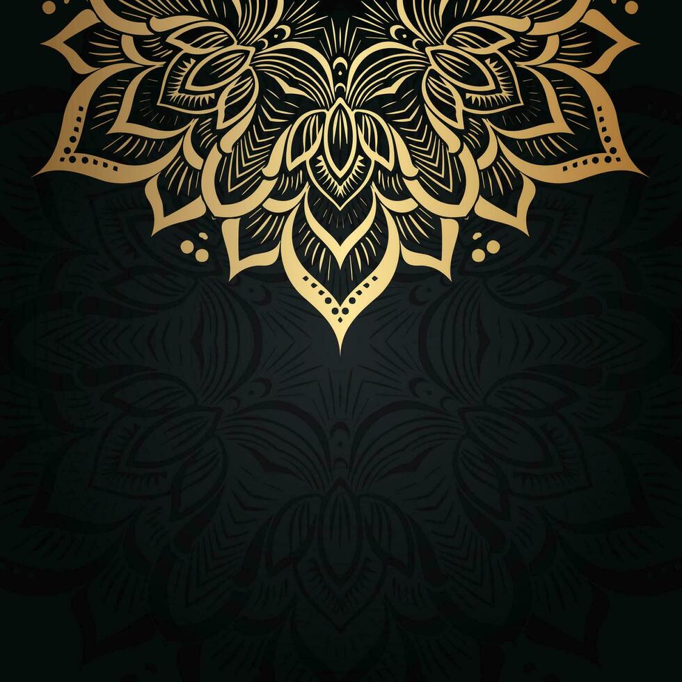 elegant background with a gold mandala design vector