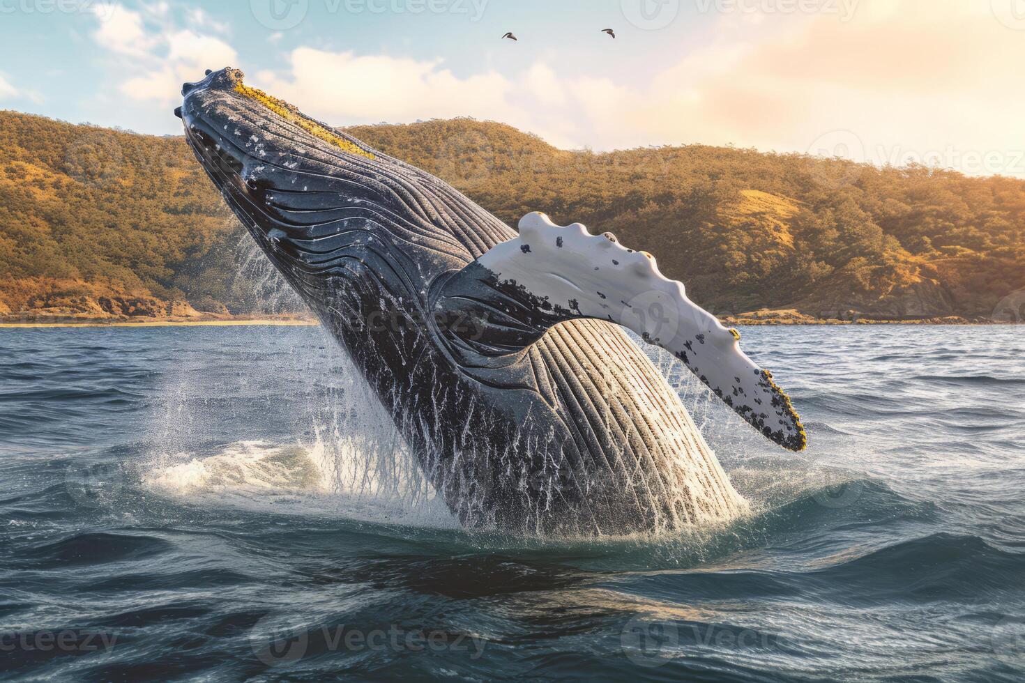 Whale in nature, national geography, Wide life animals. AI Generated. photo