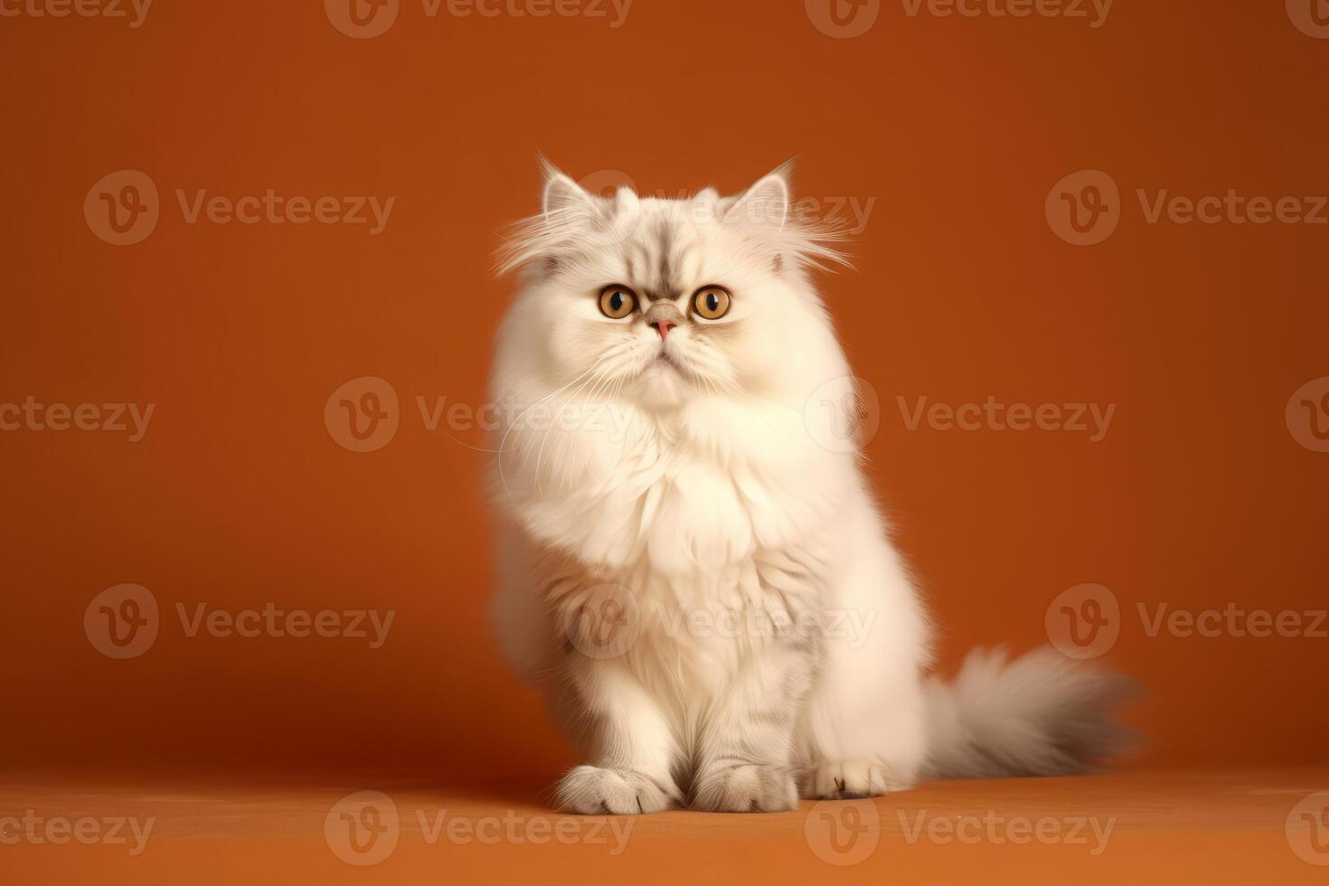 gato en naturaleza, nacional geografía, amplio vida animales ai generado. foto