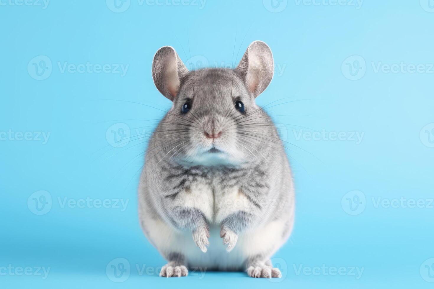 muy linda chinchilla en naturaleza, nacional geografía, amplio vida animales ai generado. foto