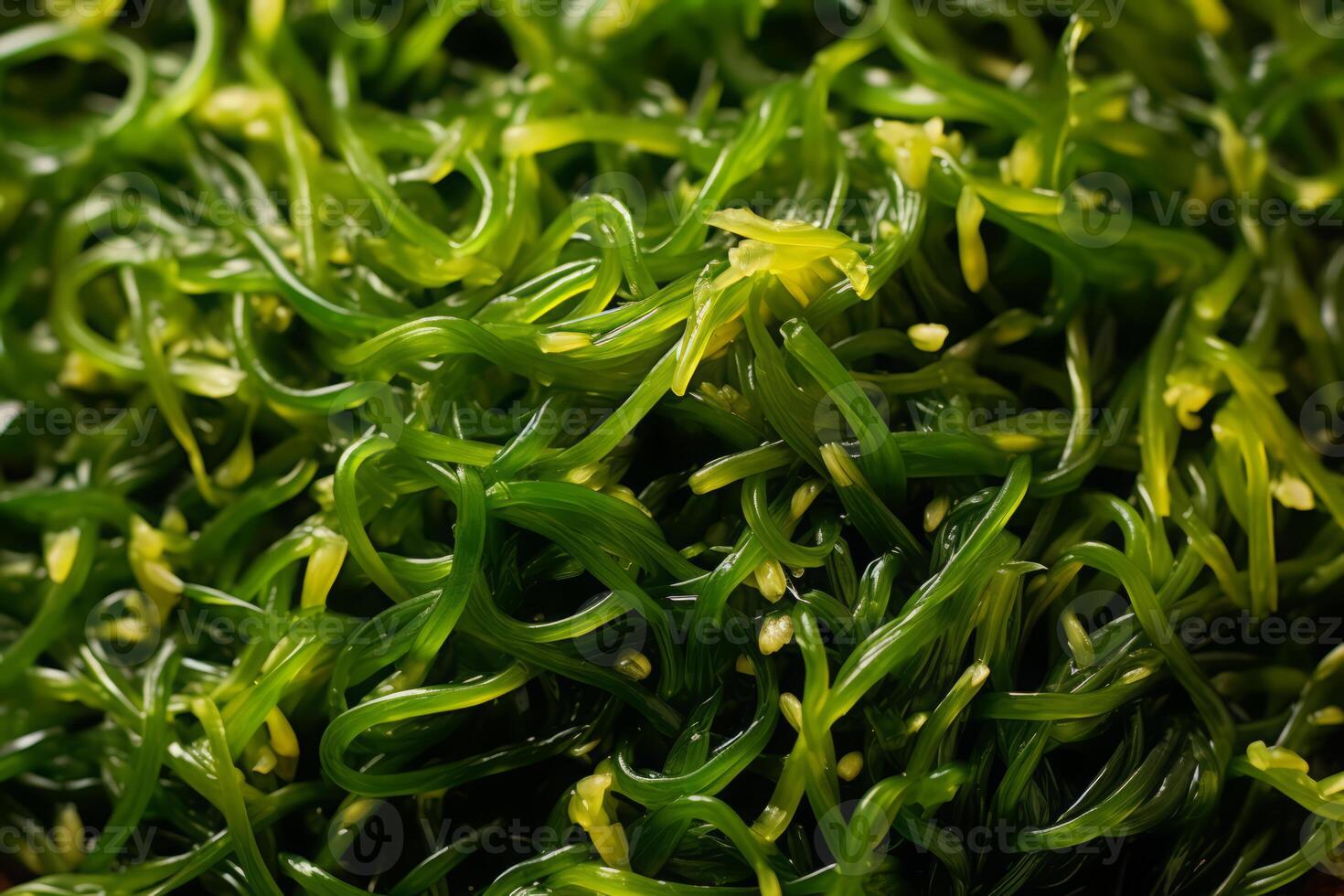Close-up top view of ingredients Seaweed Salad Veggie, Japanese food. . photo