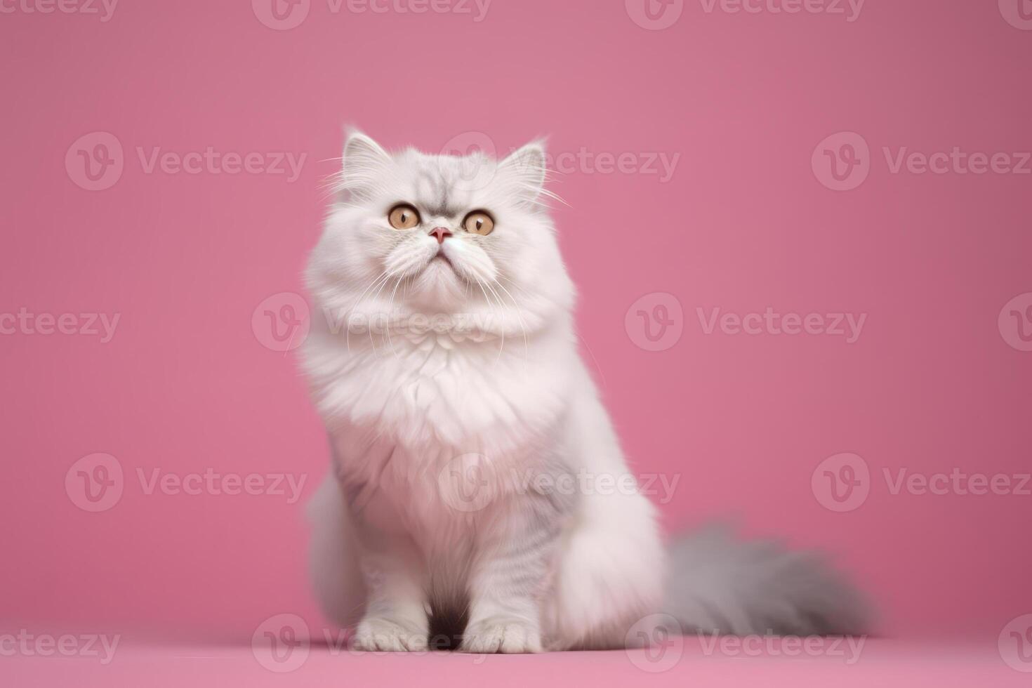 Cat in nature, national geography, Wide life animals. AI Generated