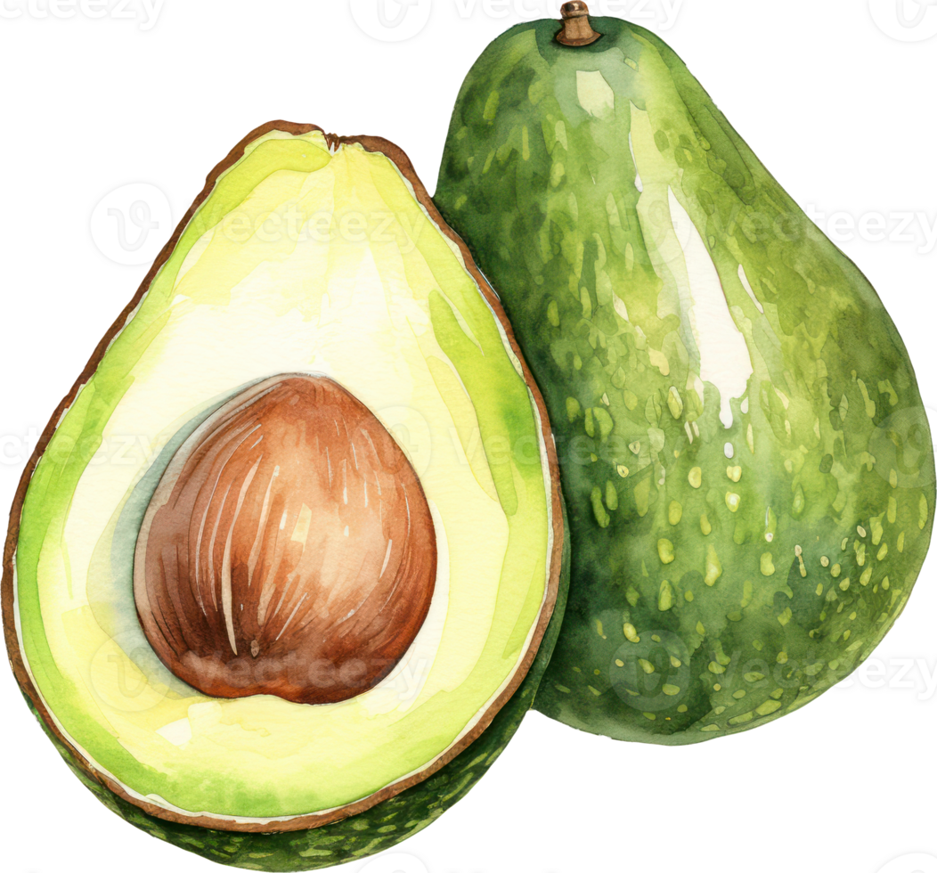 Avocado watercolor illustration. AI Generated png