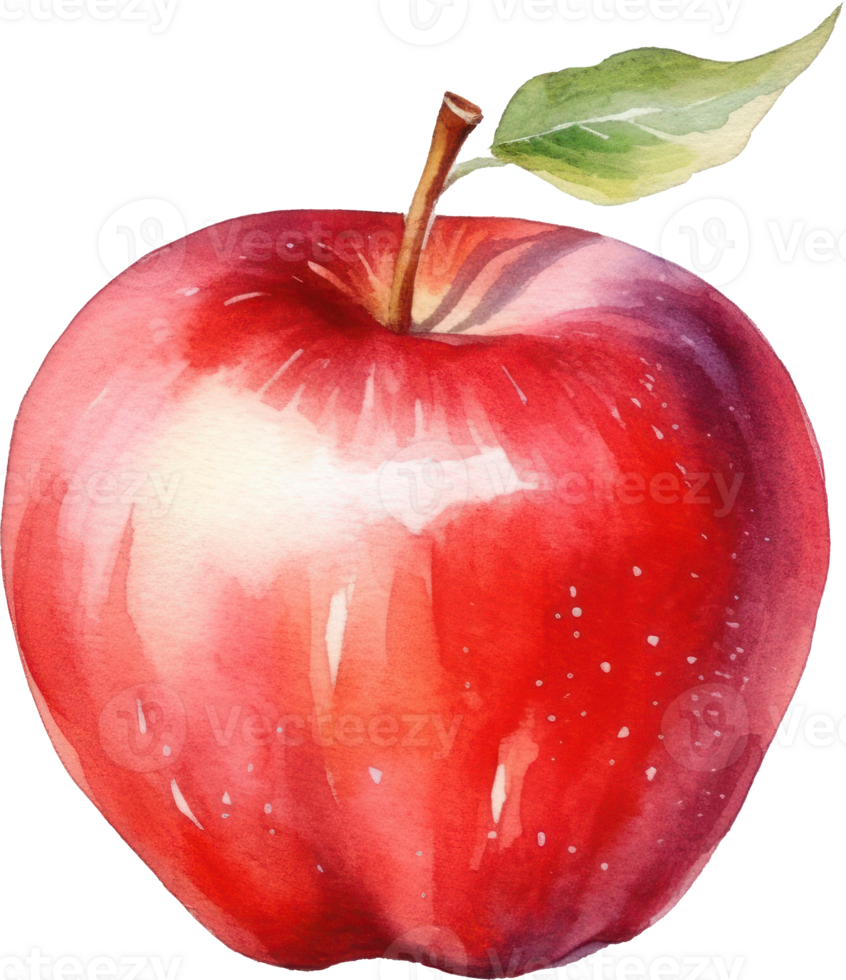 Red Apple Watercolor Illustration. png
